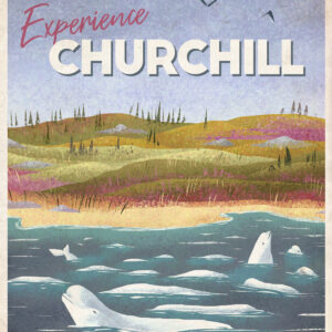 Vintage Tourism – Churchill (Belugas)