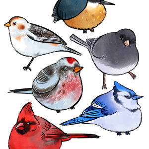 BORBS