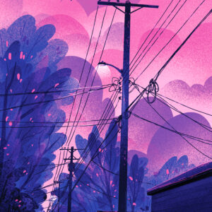 Summer Sunset Power Lines