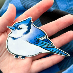 Smug Bluejay