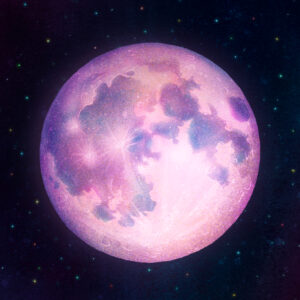 Pink Moon