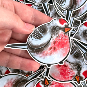 Redpoll sticker