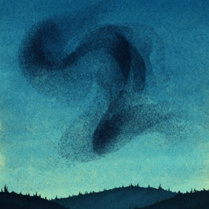 Murmuration 1