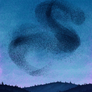 Murmuration 2